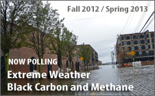 Now Polling